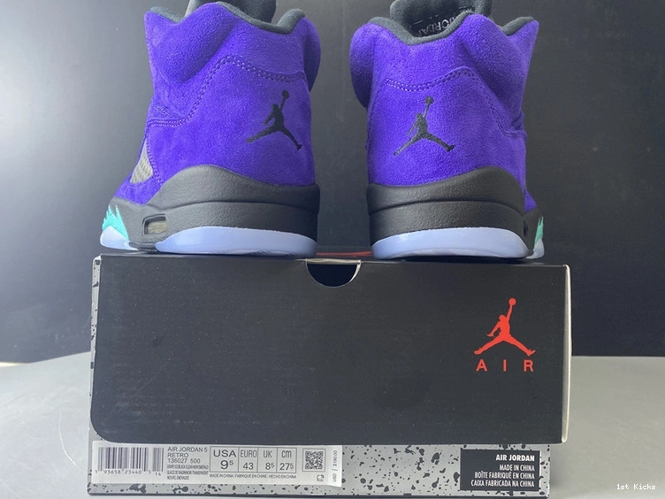  “Alternate 5 Jordan Grape” 136027-500 Air 0204